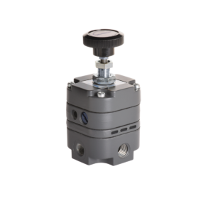 Type 100 Precision Air Pressure Regulator Type 100 Precision Air Pressure Regulator